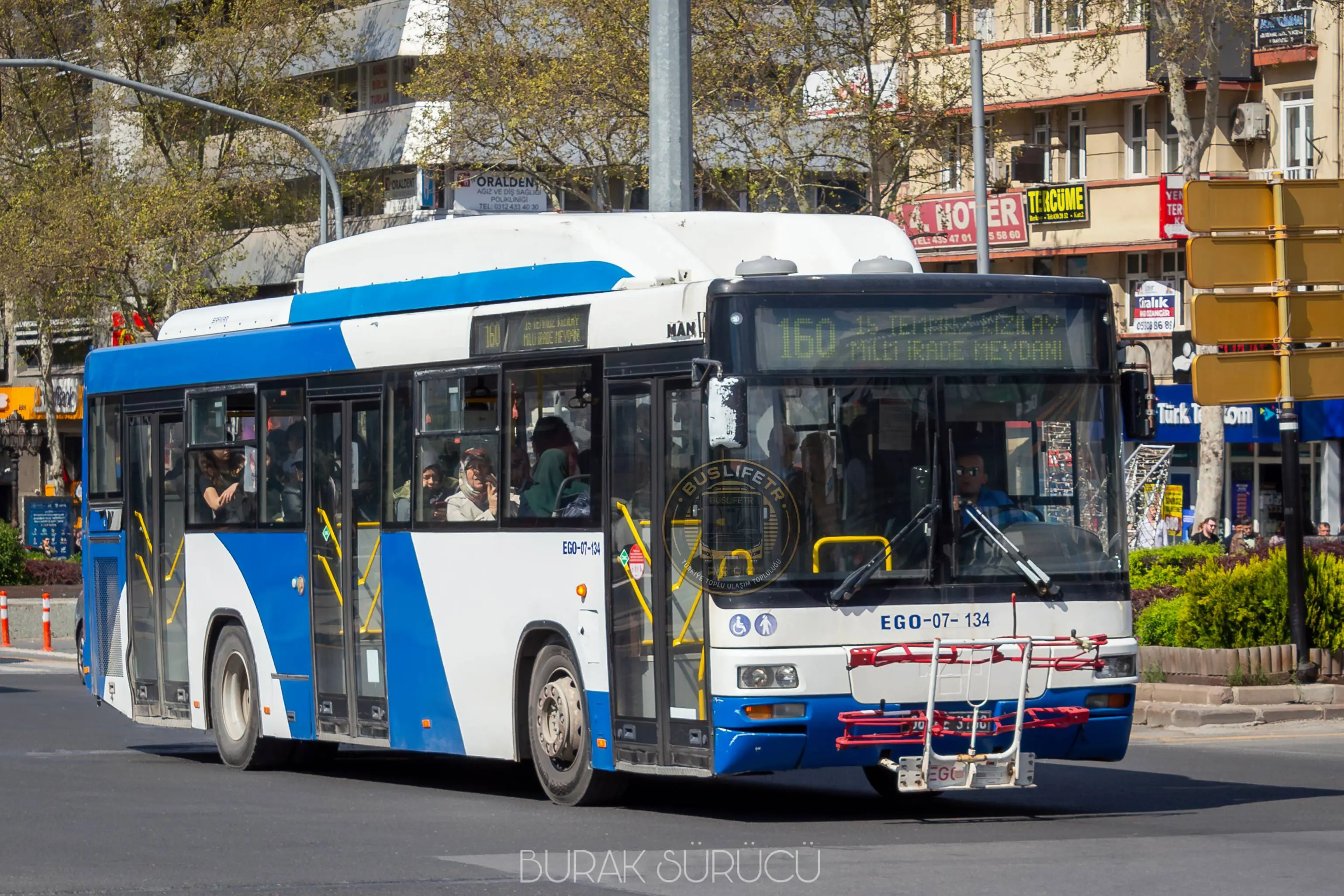 EGO / MAN A74 Lions Classic SL313 CNG