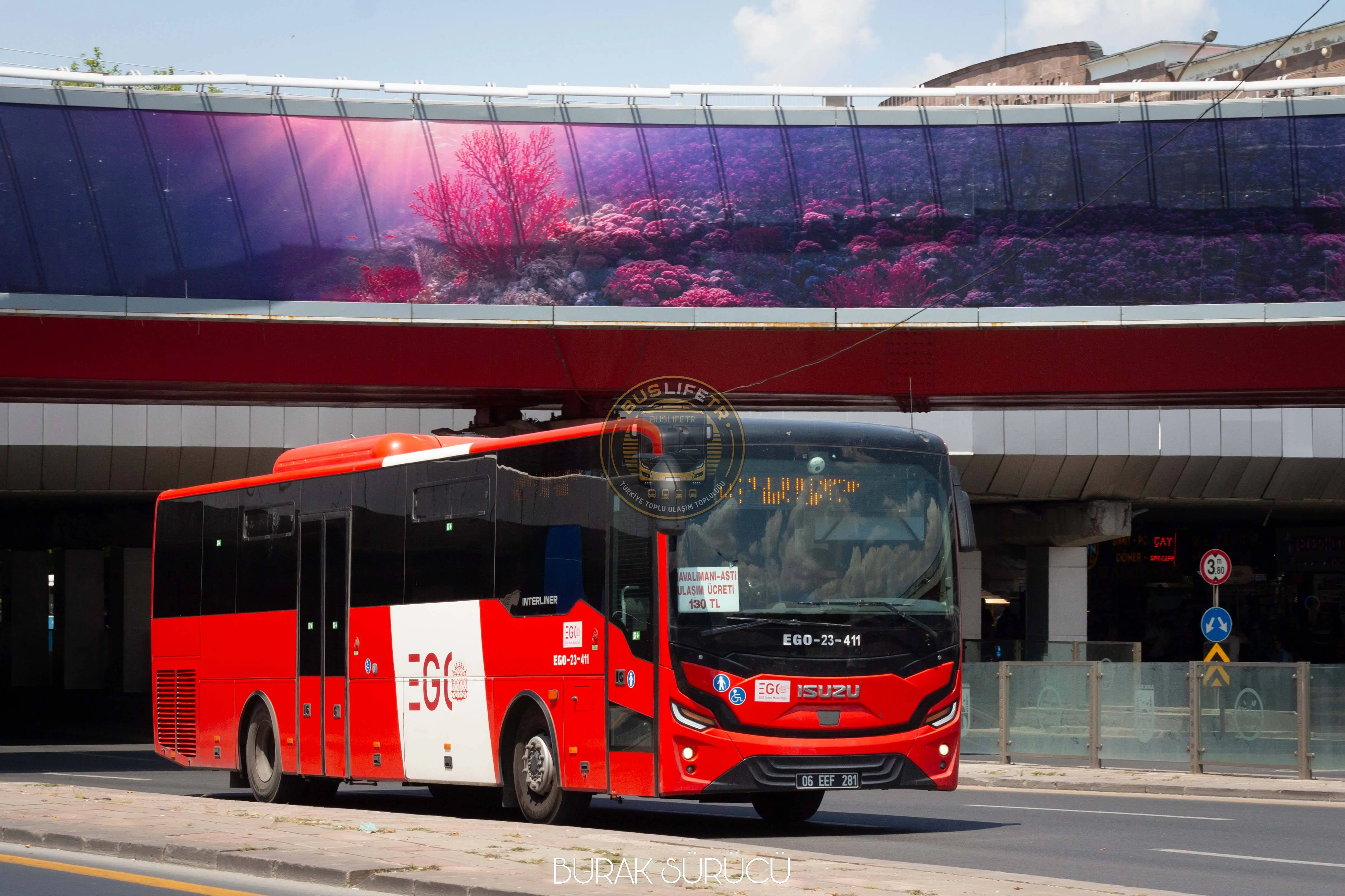 EGO / Anadolu ISUZU Interliner (Kendo) otobüs fotoğrafı EGO-23-411
06 EEF 281
442 AŞTİ - Kızılay - Havalimanı
Atatürk Bulvarı