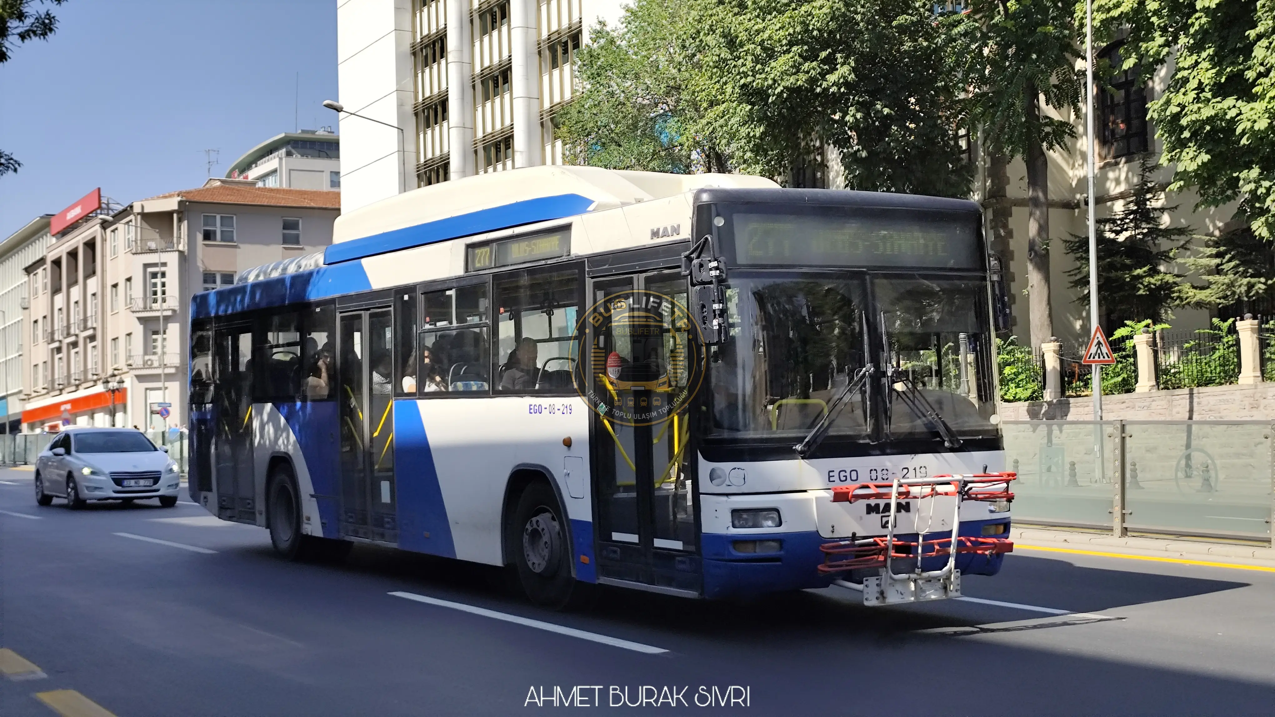 EGO / MAN A74 Lions Classic SL313 CNG