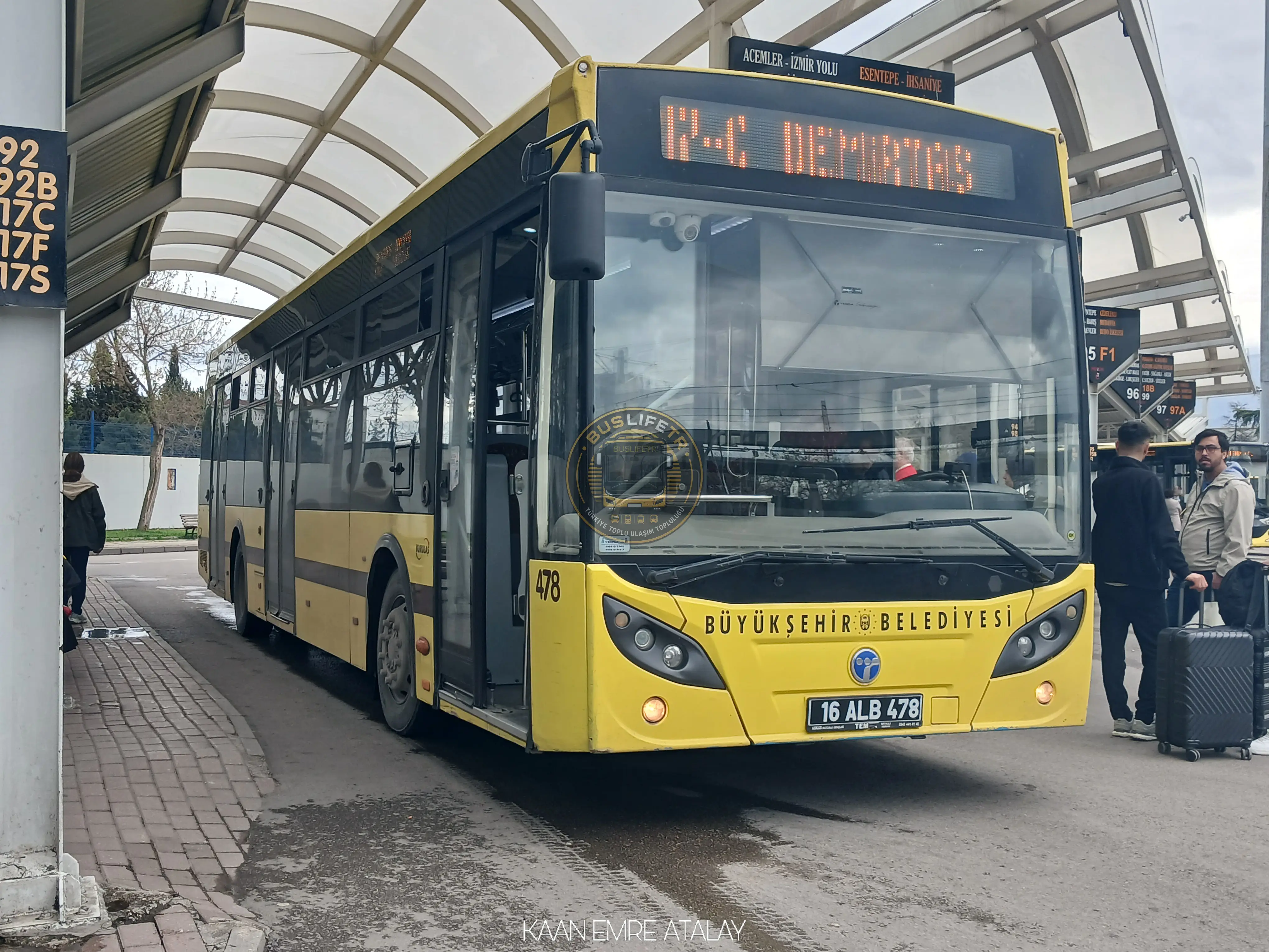 BURULAŞ / Temsa Avenue II LF